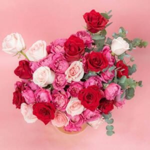 floral-photography-dubai