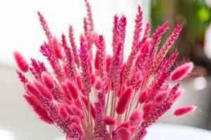 floral-photography-dubai